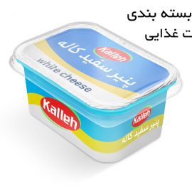 دانلود موکاپ بسته بندی پنیر سفید استاندار ایران